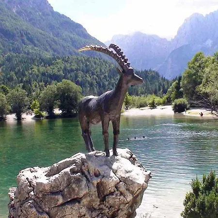 아파트 Apartma Ravbar *